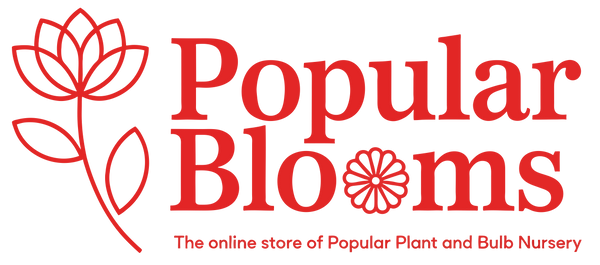 popular_blooms_logo